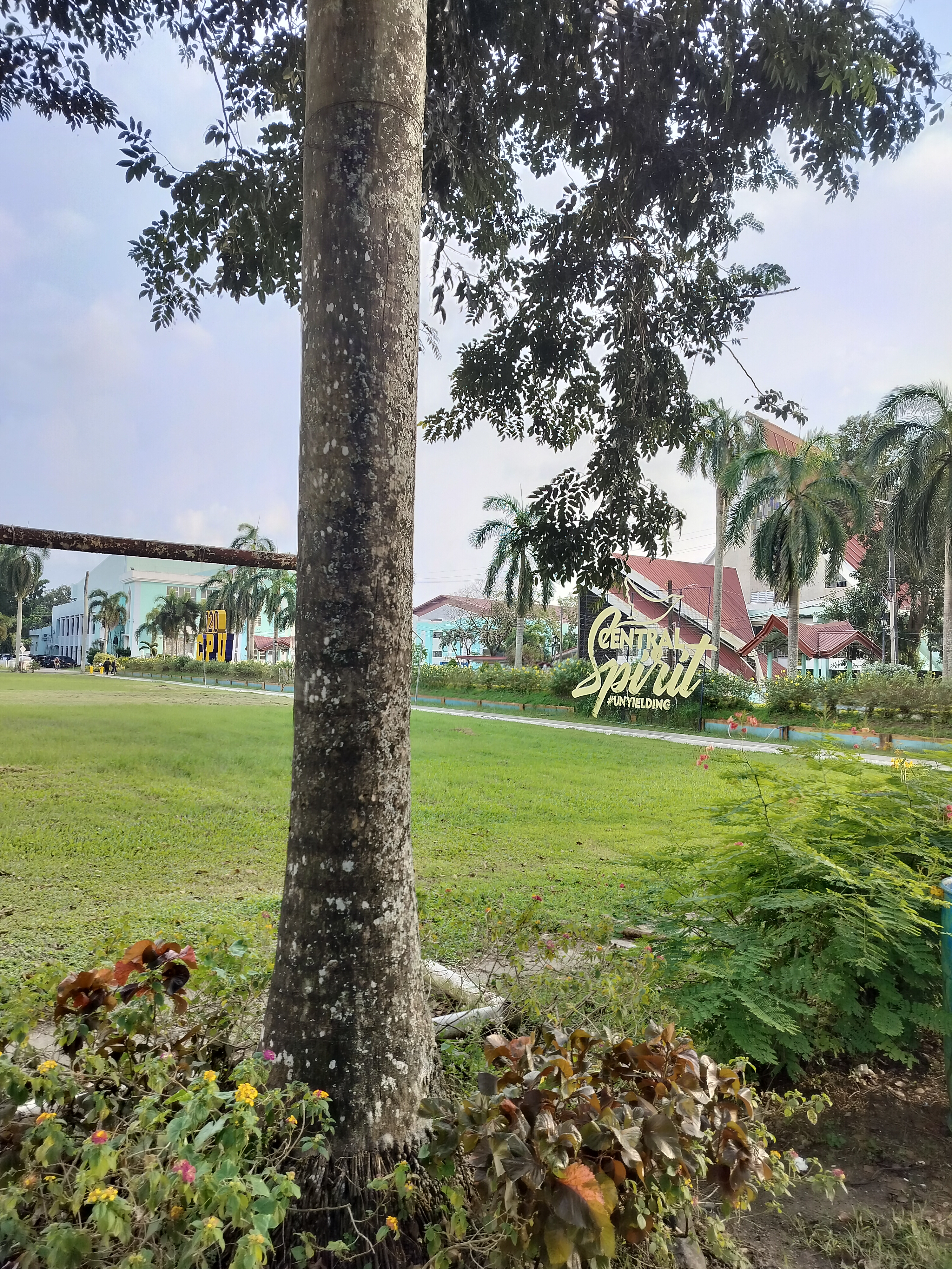 IMG20251129160941.jpg